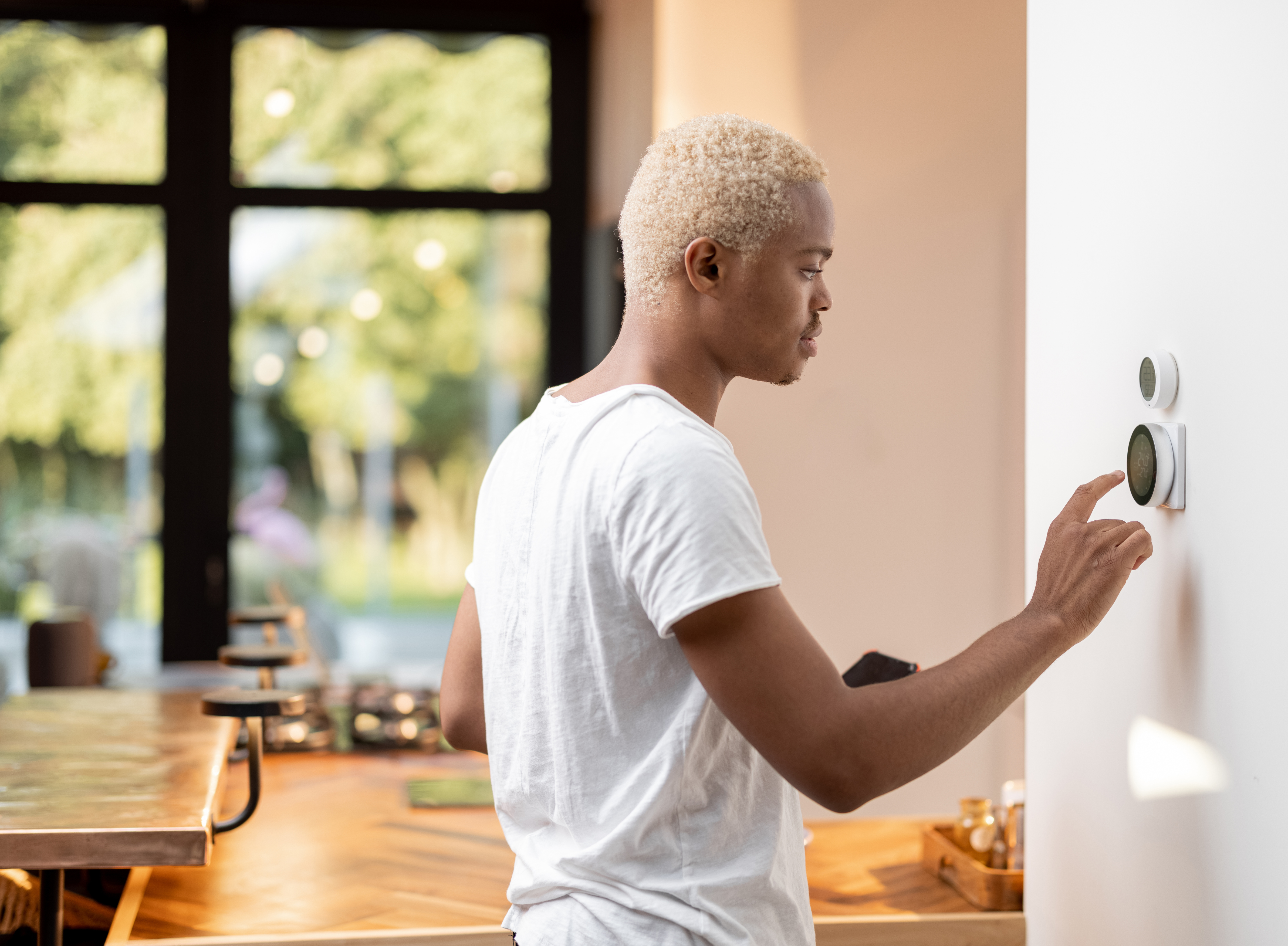 Proptech Smart Home Wide