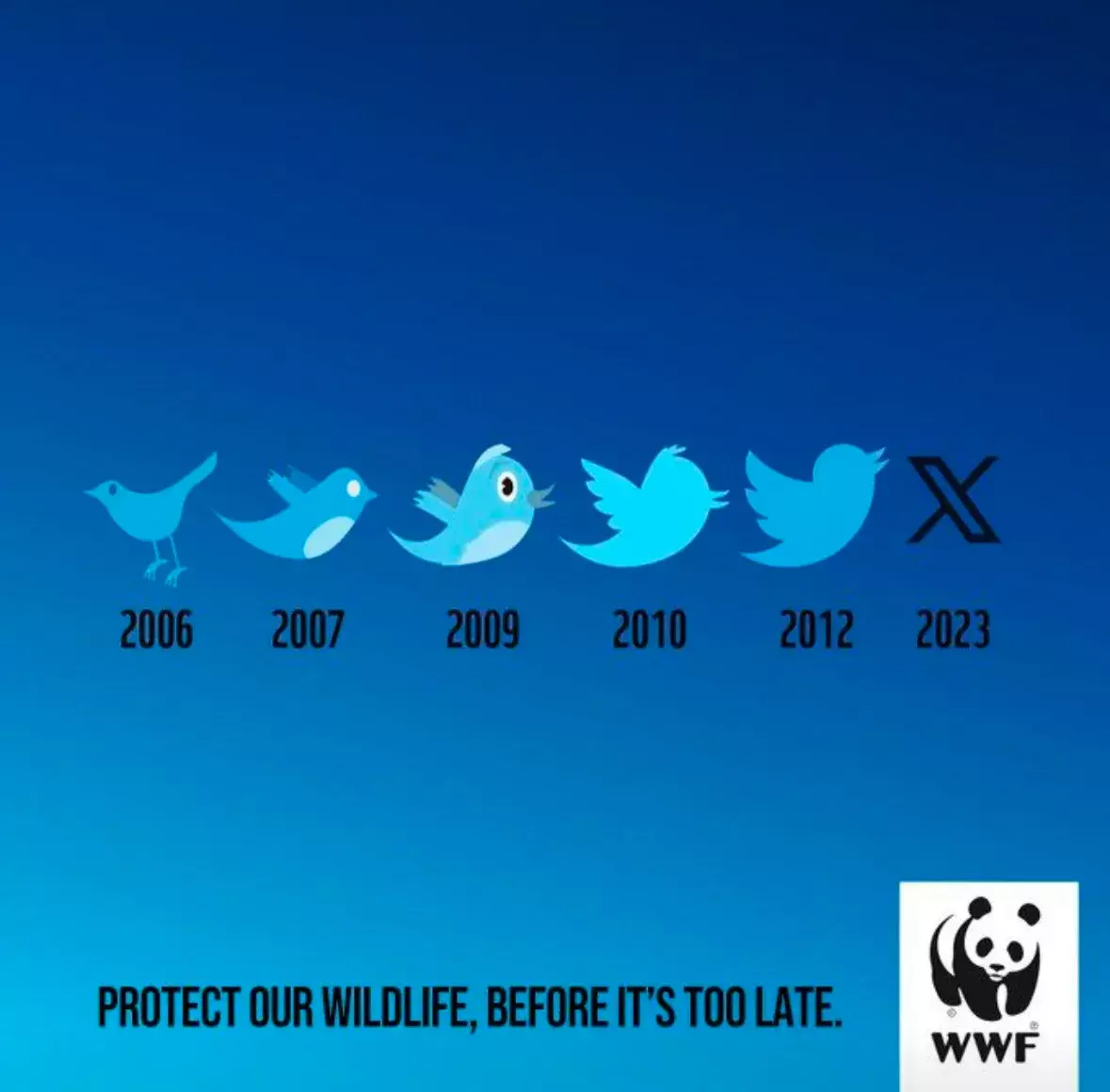 D6c46782 888e 4326 86e6 29d8e53fa37d 1179x1160